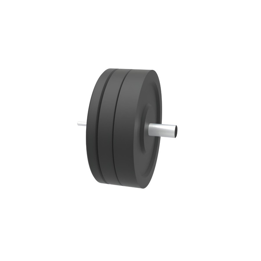 Accesorio soporte Discos Olímpicos O'Live Fitness