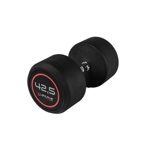 Mancuernas Pro-Style O'Live Fitness, 42,5 kg ud