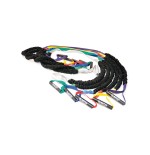 Slastix™ For Bosu®