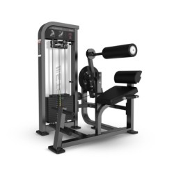 Dual Abdominal - Lumbar