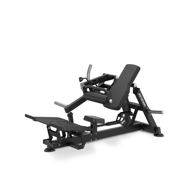 Hip Thrust