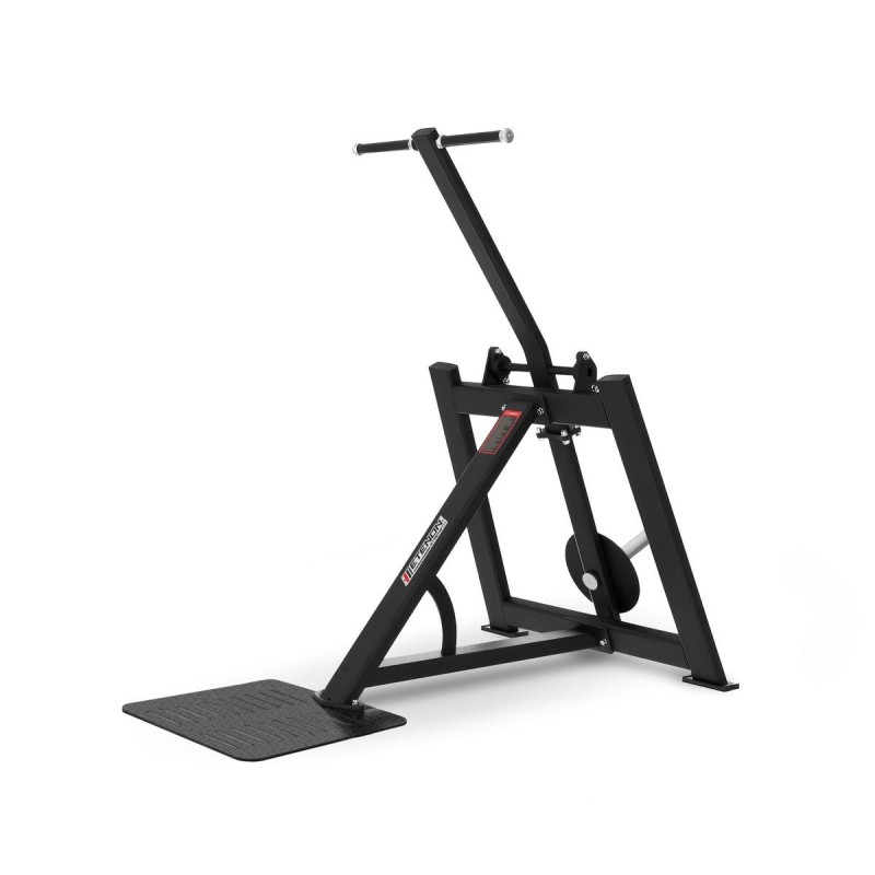 Extensión de Triceps de Pie