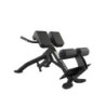 PTT02 Banco Lumbar 45º
