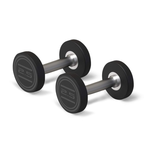 Mancuerna CPU 2,5 Kg (2 U.) | E-kipat Andorra