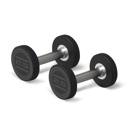Mancuerna CPU 2,5 Kg (2 U.) | E-kipat Andorra