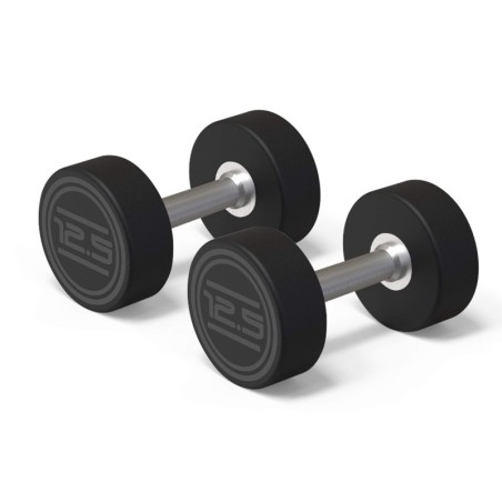 Mancuerna CPU 12,5 Kg (2 U.) | E-kipat Andorra