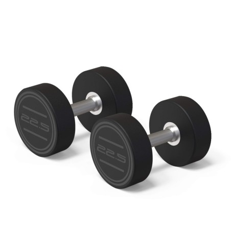 Mancuerna CPU 22,5 Kg (2 U.) | E-kipat Andorra