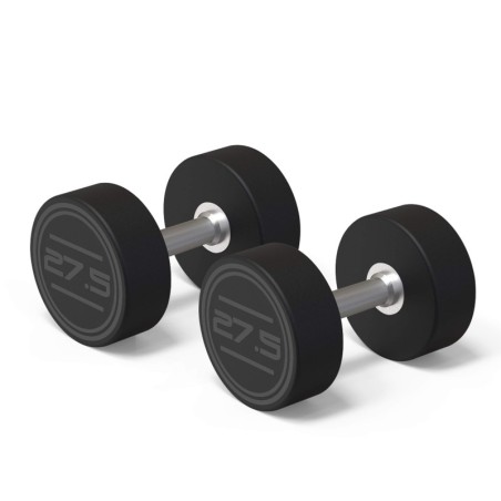 Mancuerna CPU 27,5 Kg (2 U.) | E-kipat Andorra