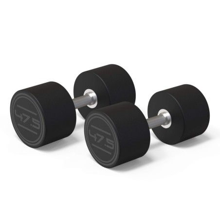 Mancuerna CPU 47,5 Kg (2 U.) | E-kipat Andorra