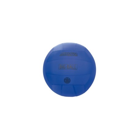 Peloton BIG Ball Ø60 (cubierta+vejiga) -azul | E-kipat Andorra