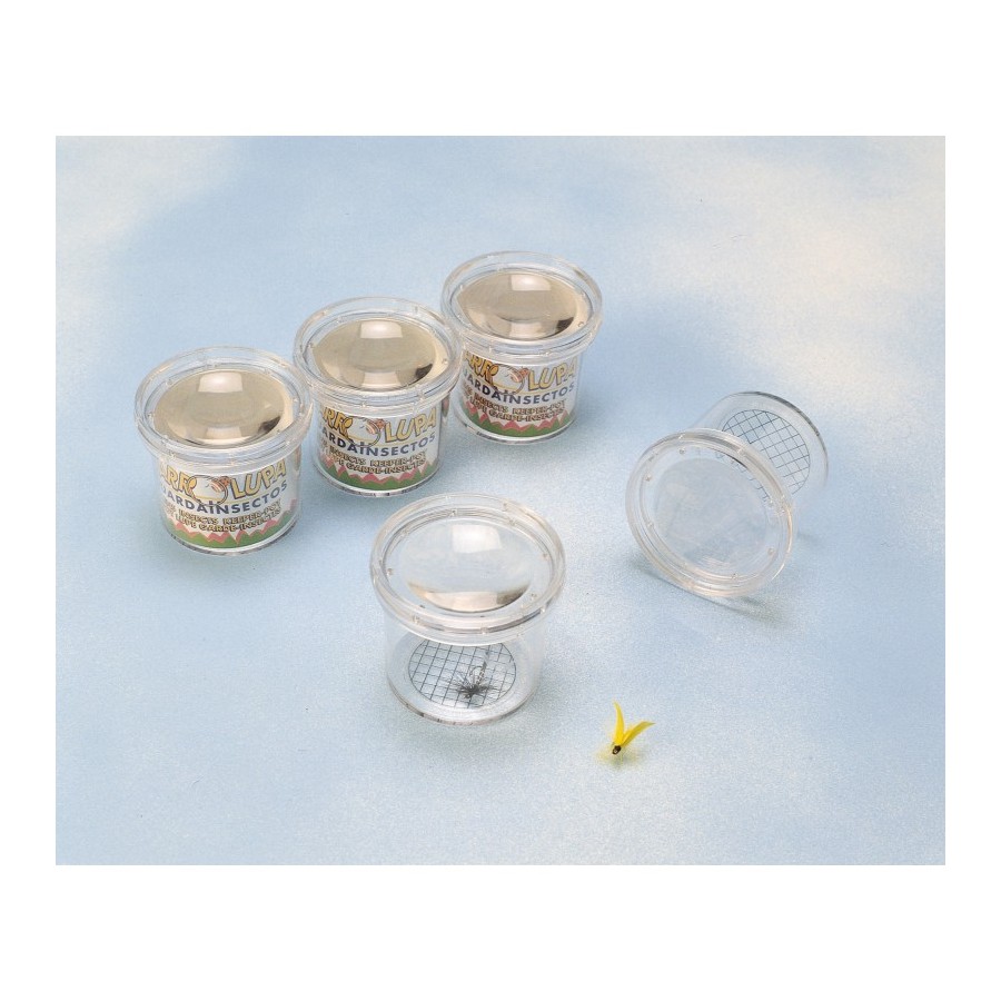 Tarro Lupa Insectos (6 U.) | E-kipat Andorra