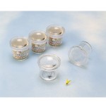 Tarro Lupa Insectos (6 U.) | E-kipat Andorra