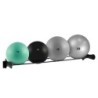 Rack Gymball de pared