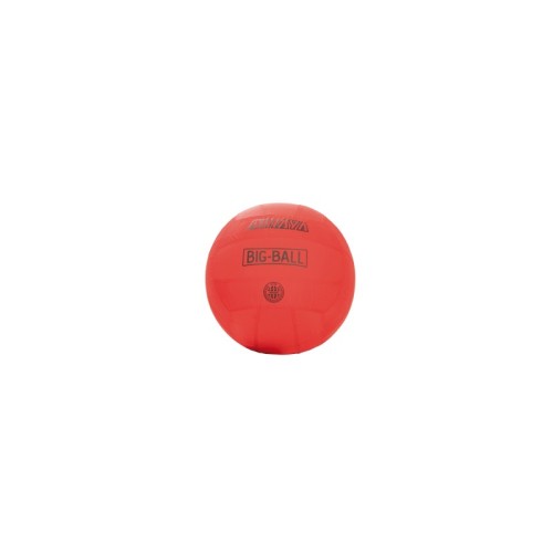 Peloton Bigball Ø45 (cubierta+vejiga) | E-kipat Andorra